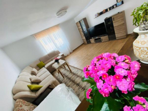 Andrei's house, Sibiu